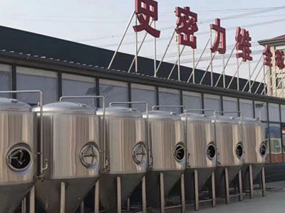 禹州精酿啤酒设备厂—市场规模与跨界新需求